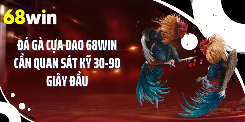 Đá gà cựa dao 68WIN cần quan sát kỹ 30-90 giây đầu