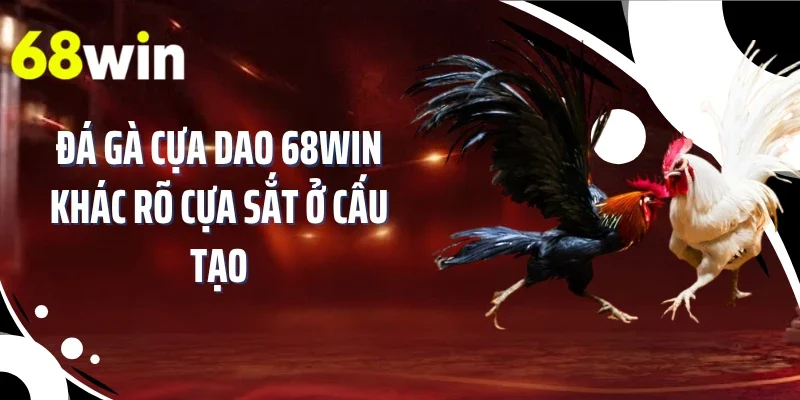 Đá gà cựa dao 68WIN khác rõ cựa sắt ở cấu tạo