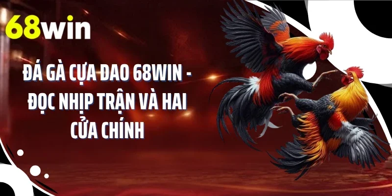 Đá Gà Cựa Dao 68WIN - Đọc Nhịp Trận Và Hai Cửa Chính