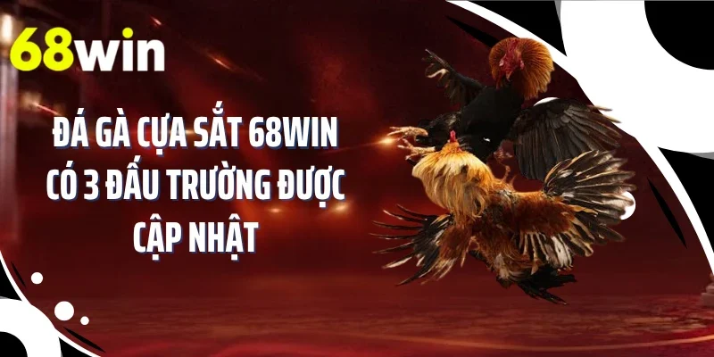 Đá gà cựa sắt 68WIN có 3 đấu trường được cập nhật