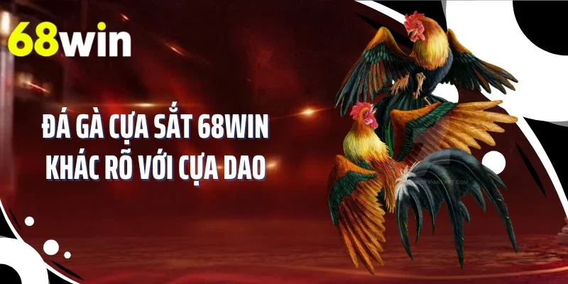 Đá gà cựa sắt 68WIN khác rõ với cựa dao