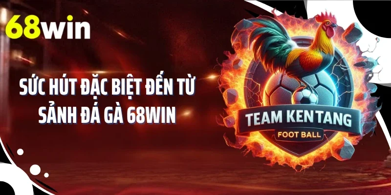 Sức hút đặc biệt đến từ sảnh đá gà 68WIN